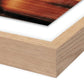 Shadow by Coup d'Esprit - White Oak