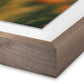 Prairie I by Coup d'Esprit — Rustic 1.5 Walnut