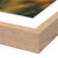 Prairie I by Coup d'Esprit — Vertical Grain 1.5 White Oak
