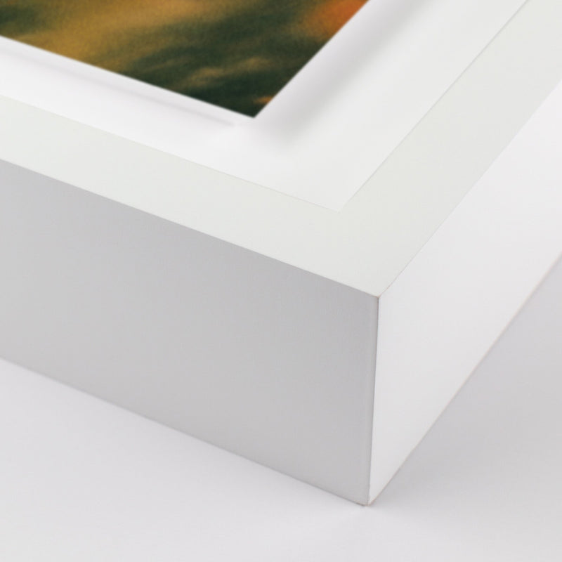 Prairie I by Coup d'Esprit — White 2.5 Maple