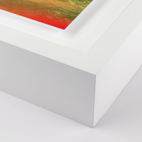 Prairie II by Coup d'Esprit — White 2.5 Maple