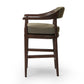 Dane Counter Stool - Broadway Olive