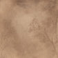Dry Land Set by Multi-Artist - Rustic Walnut