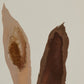 Depth Of Heart by Molly Franken - White Oak