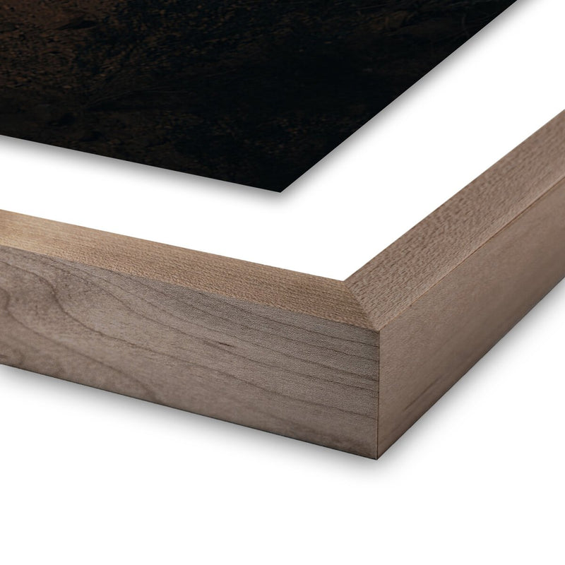 Ocotillo II by Mandy Steinback - Rustic Walnut