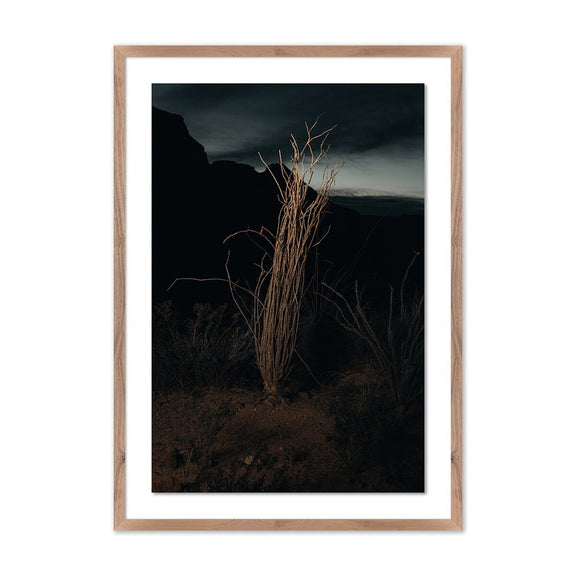 Ocotillo II by Mandy Steinback - Rustic Walnut