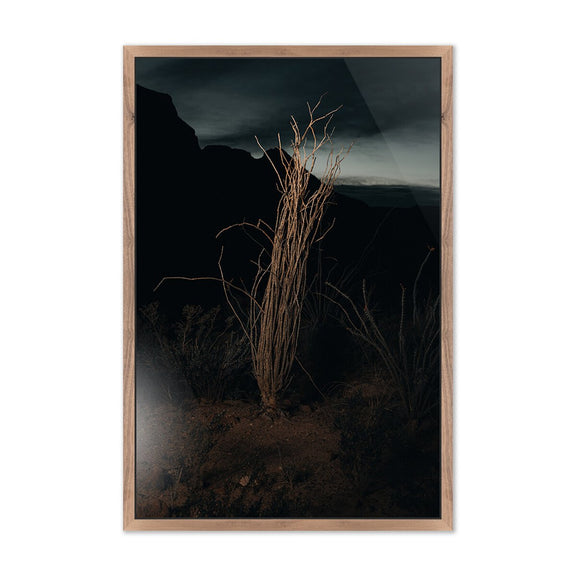 Ocotillo II by Mandy Steinback - Rustic Walnut