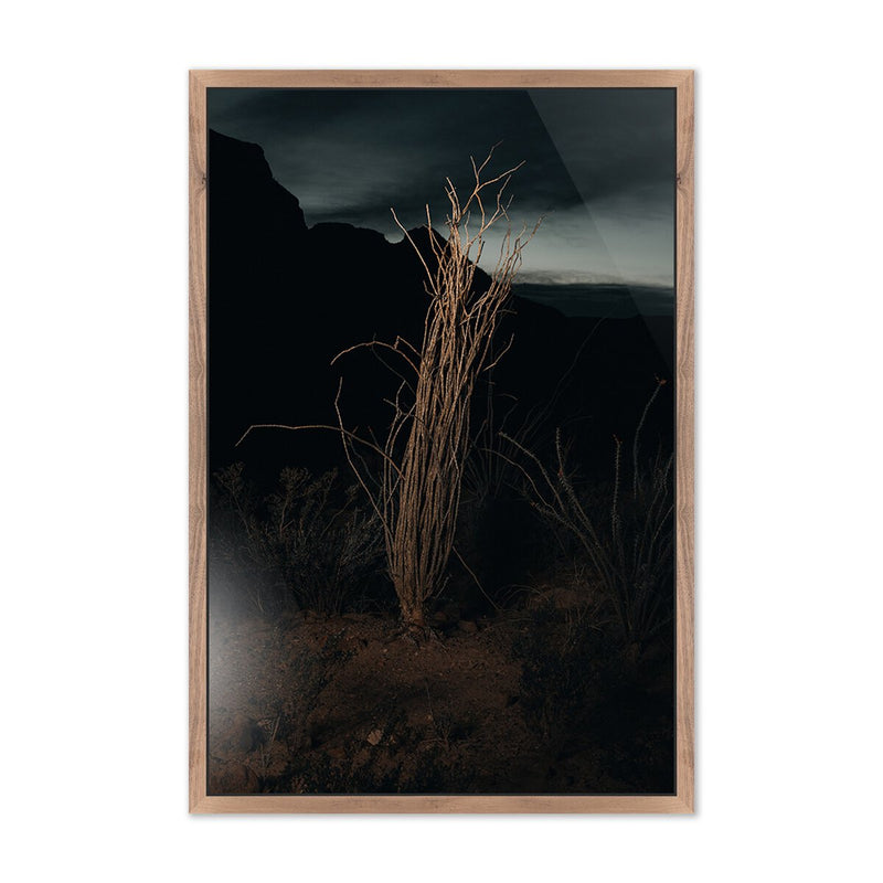Ocotillo II by Mandy Steinback - Rustic Walnut