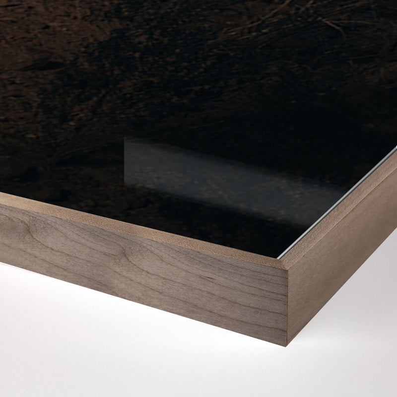 Ocotillo II by Mandy Steinback - Rustic Walnut