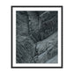 Dry Land II by Mandy Steinback - Black Maple