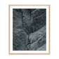 Dry Land II by Mandy Steinback - White Oak