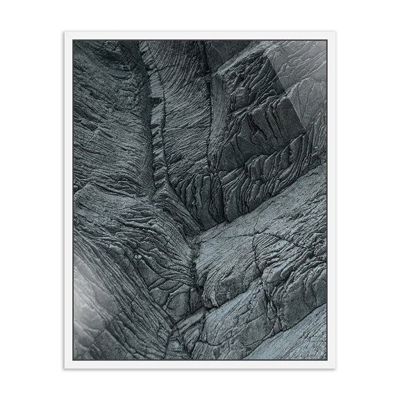 Dry Land II by Mandy Steinback - White Maple
