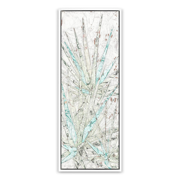 Aloe 1 by Douglas Galloway - White Maple