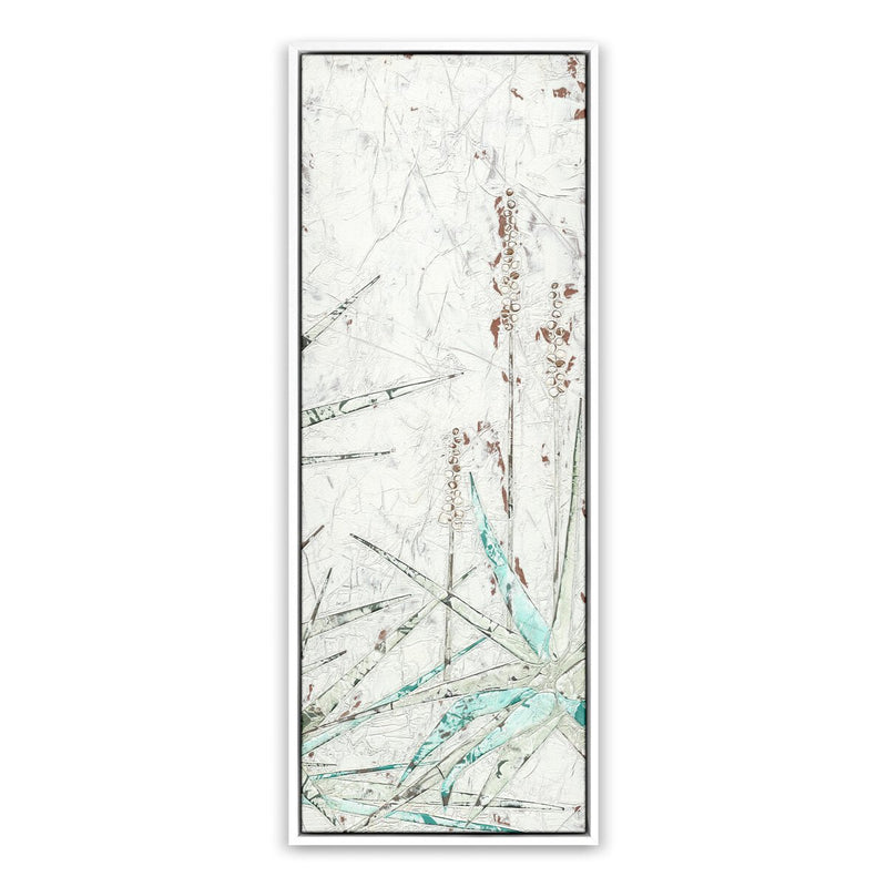 Aloe 2 by Douglas Galloway - White Maple