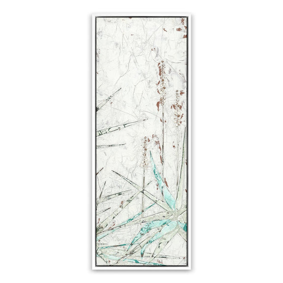 Aloe 2 by Douglas Galloway - White Maple