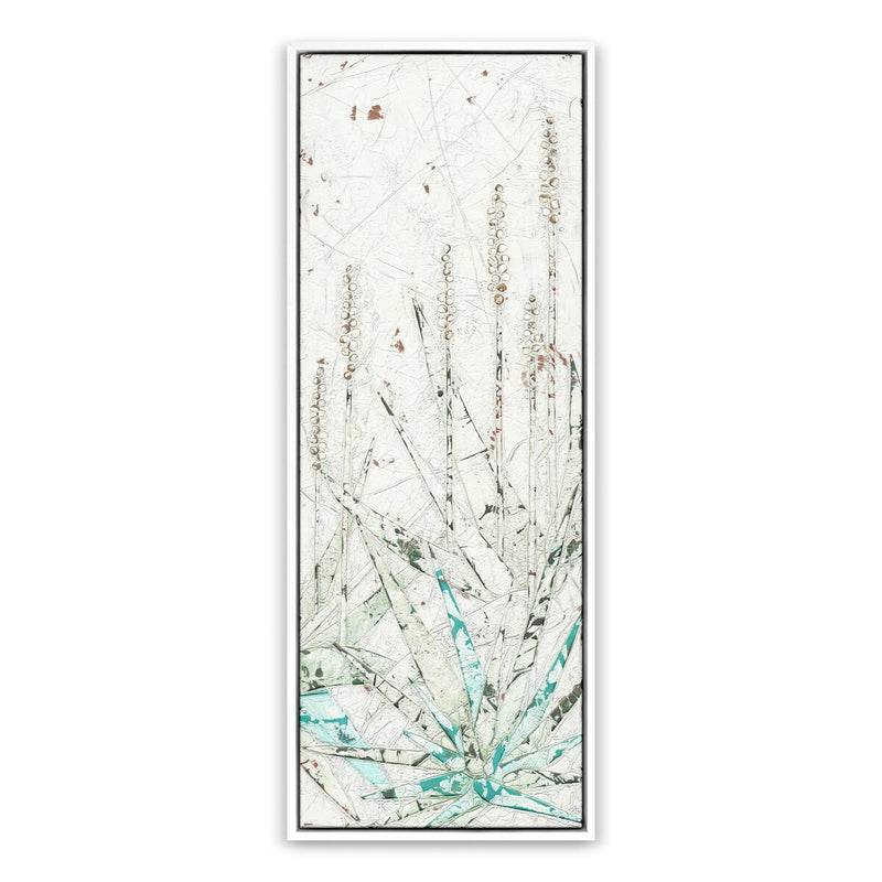 Aloe 3 by Douglas Galloway - White Maple