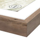 Nopales 41 by Douglas Galloway — Rustic 2.5 Walnut