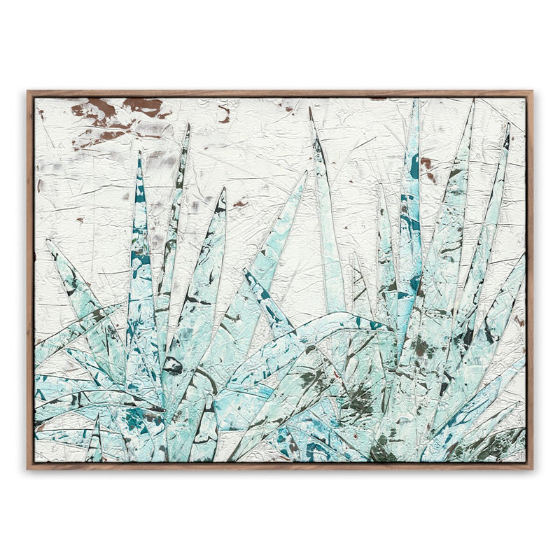 Study Of Blue Agave by Douglas Galloway - Rustic Walnut