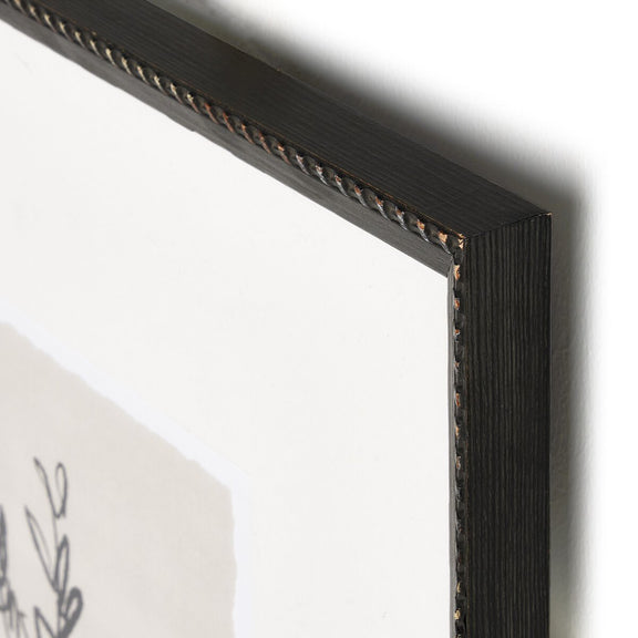 Sprig I by Coup d'Esprit - Brimfield Black