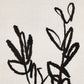 Sprig I by Coup d'Esprit - Brimfield Black