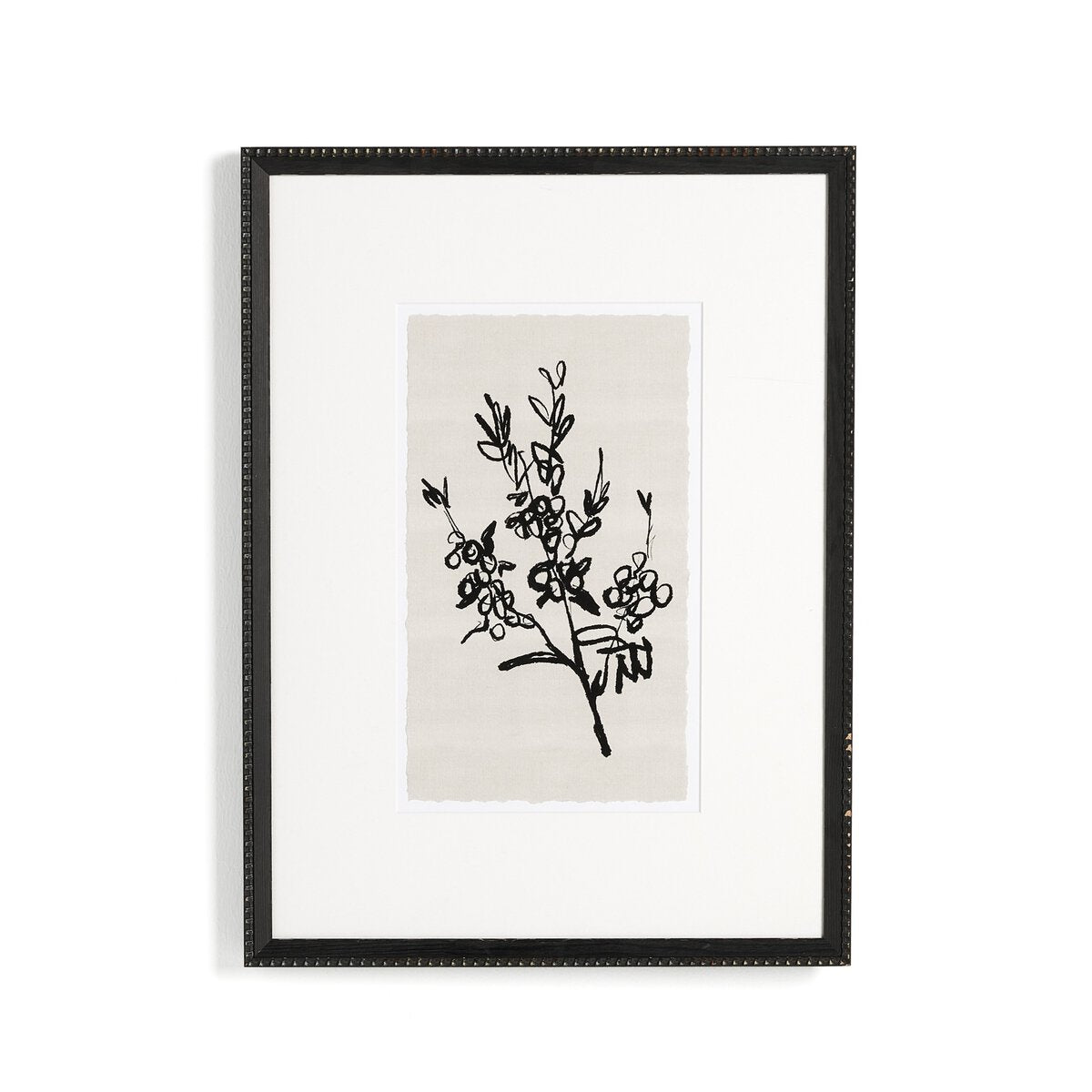 Sprig I by Coup d'Esprit - Brimfield Black