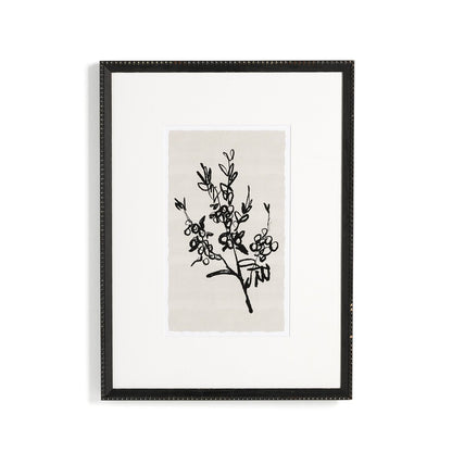 Sprig I by Coup d'Esprit - Brimfield Black