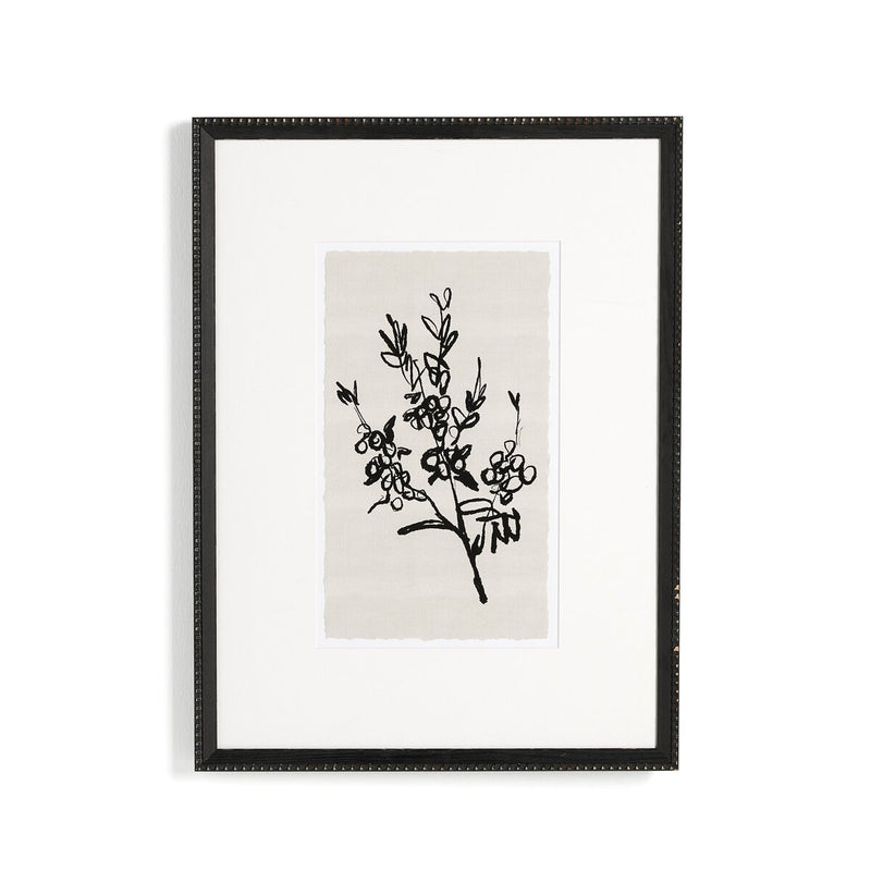 Sprig I by Coup d'Esprit - Brimfield Black