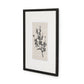 Sprig I by Coup d'Esprit - Brimfield Black