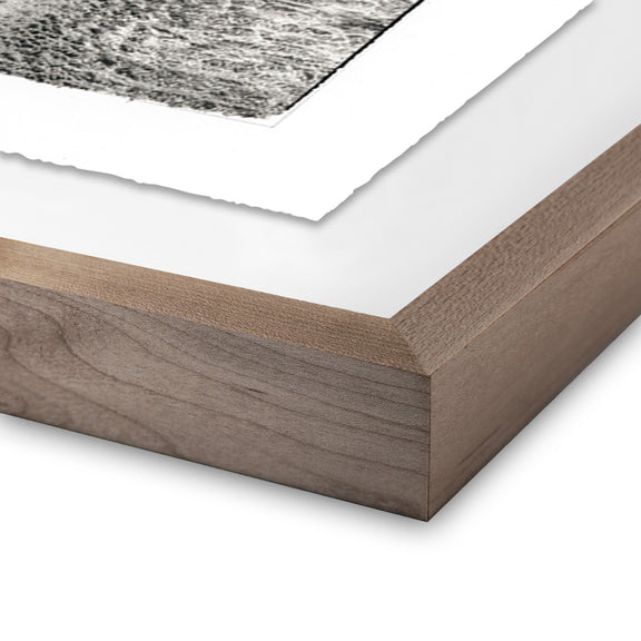 Ocean Foam Pattern by Platinum Revival — Rustic 2.5 Walnut