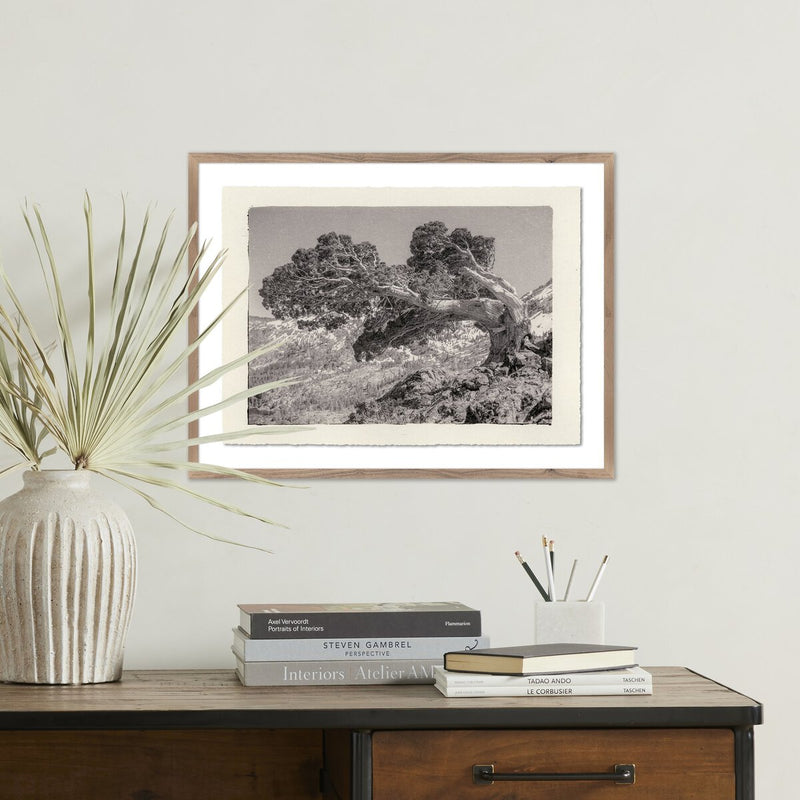 Juniper Gampi by Platinum Revival - Rustic Walnut