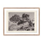 Juniper Gampi by Platinum Revival - Rustic Walnut