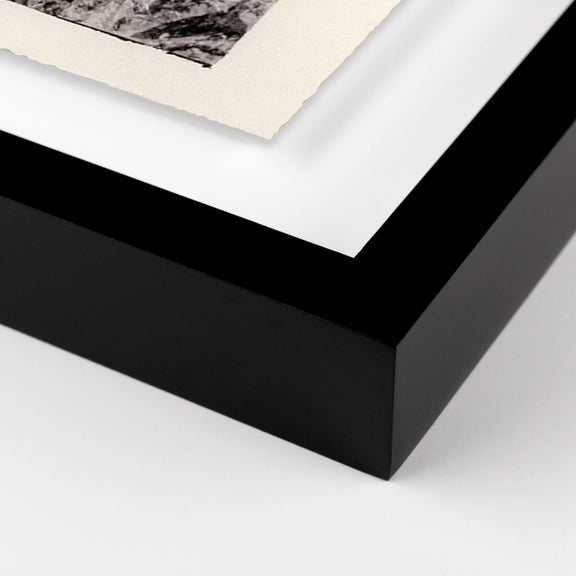 Juniper Gampi by Platinum Revival - Black Maple