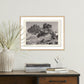 Juniper Gampi by Platinum Revival - White Oak
