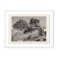 Juniper Gampi by Platinum Revival - White Maple