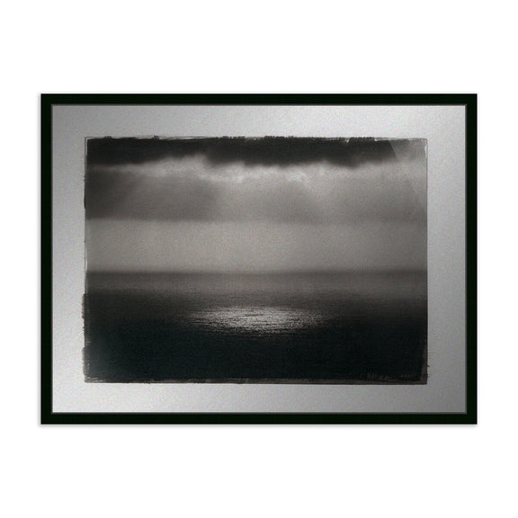 Water Light by Platinum Revival - Black Maple