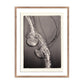 Jellies 4 by Platinum Revival - Rustic Walnut