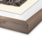 Redwoods Magical Portal by Platinum Revival - Rustic Walnut