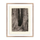 Redwoods Magical Portal by Platinum Revival - Rustic Walnut