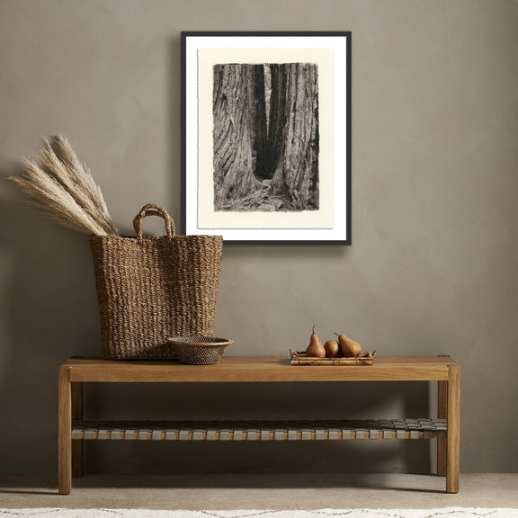 Redwoods Magical Portal by Platinum Revival - Black Maple