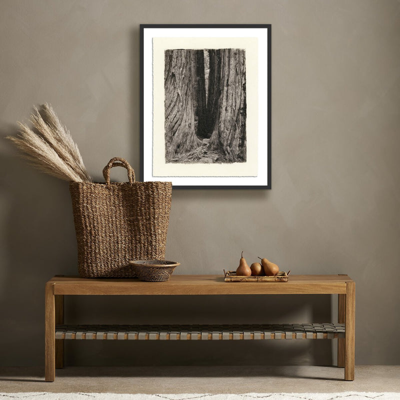 Redwoods Magical Portal by Platinum Revival - Black Maple