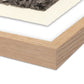 Redwoods Magical Portal by Platinum Revival - White Oak