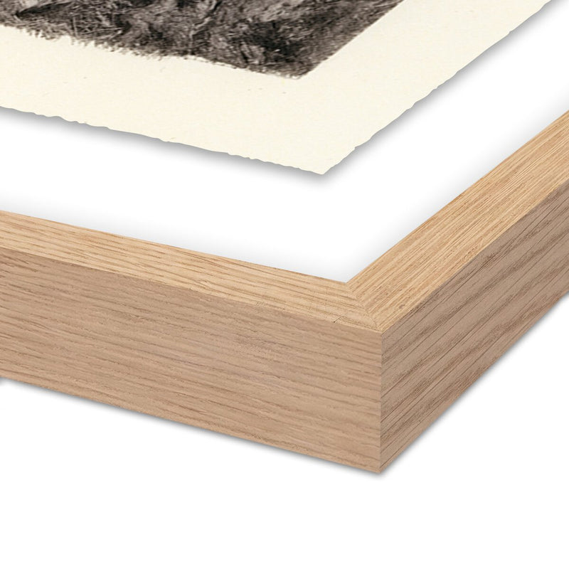 Redwoods Magical Portal by Platinum Revival - White Oak