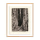 Redwoods Magical Portal by Platinum Revival - White Oak