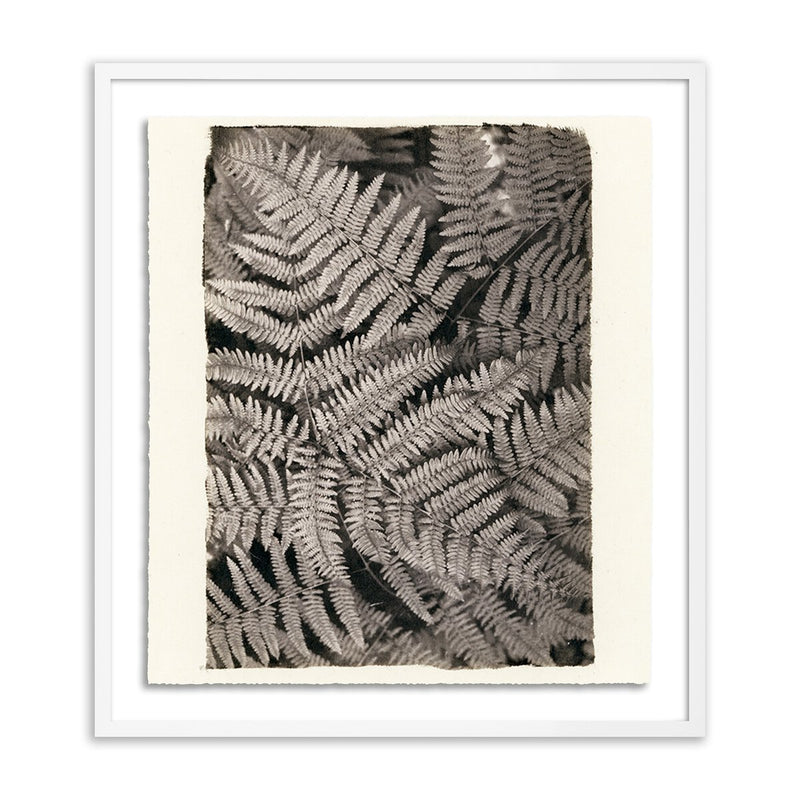 Fern by Platinum Revival - White Maple