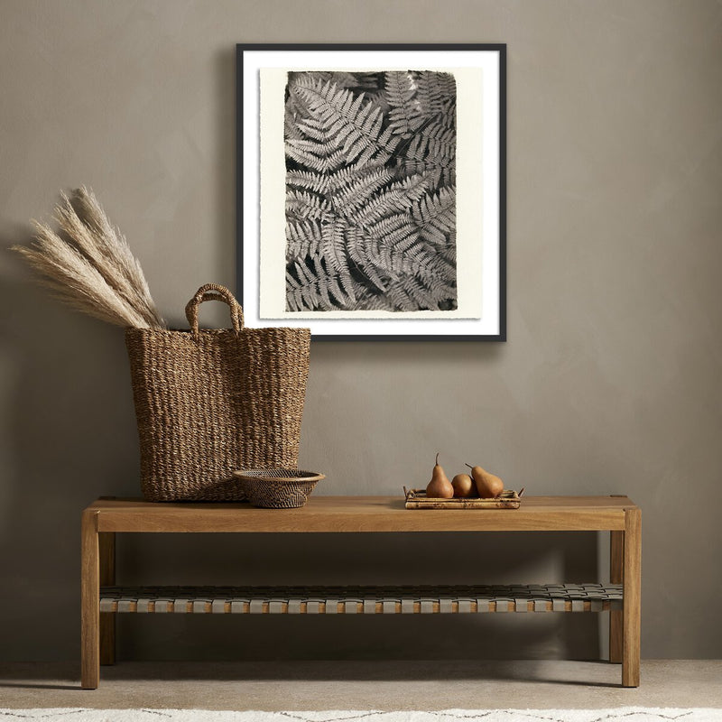 Fern by Platinum Revival - Black Maple