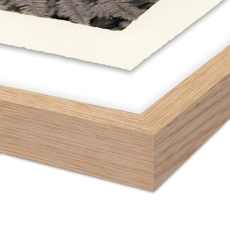 Fern by Platinum Revival - White Oak