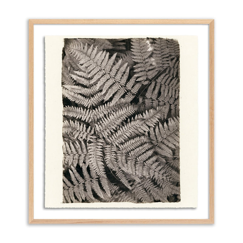 Fern by Platinum Revival - White Oak