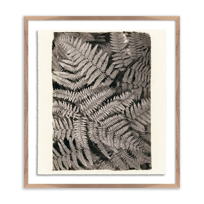 Fern by Platinum Revival - Rustic Walnut