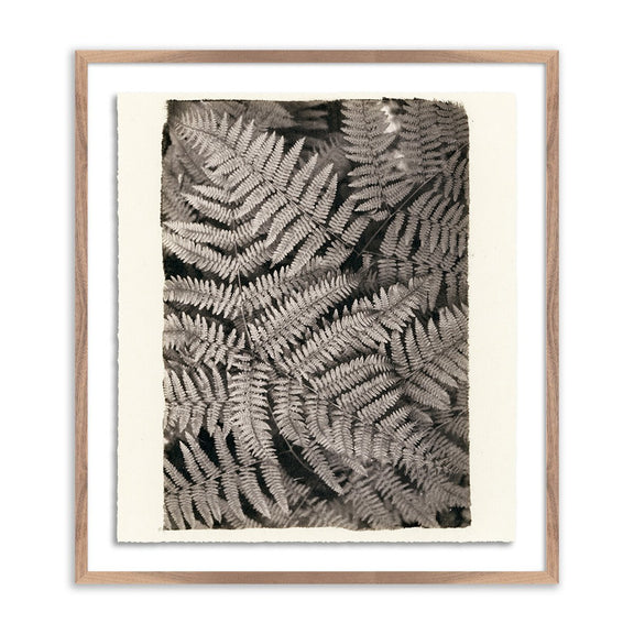 Fern by Platinum Revival - Rustic Walnut