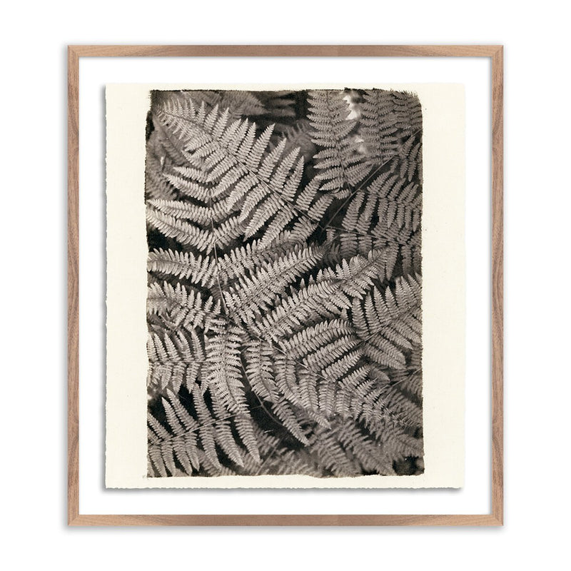 Fern by Platinum Revival - Rustic Walnut